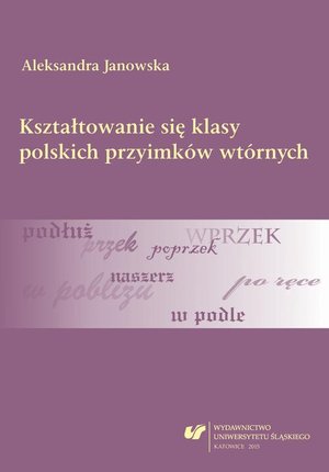 Kształtowanie się klasy polskich przyimków wtórnych – ebook