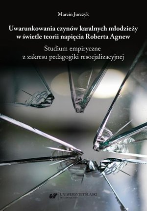 Uwarunkowania czynów karalnych młodzieży w świetle teorii napięcia Roberta Agnew. Studium empiryczne z zakresu pedagogiki resocjalizacyjnej – ebook