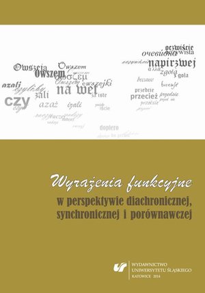 Wyrażenia funkcyjne w perspektywie diachronicznej, synchronicznej i porównawczej – ebook