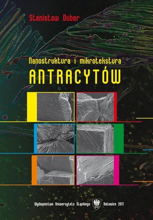 Nanostruktura i mikrotekstura antracytów – ebook