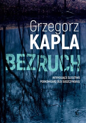 Bezruch – ebook