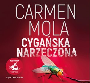 Cygańska narzeczona – audiobook