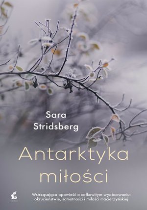 Antarktyka miłości – ebook