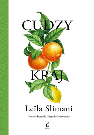 Cudzy kraj – ebook