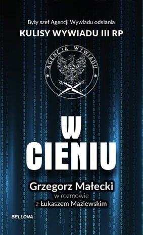 W cieniu. Kulisy wywiadu III RP – ebook