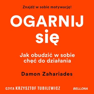 Ogarnij się – audiobook