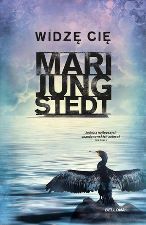 Widzę cię – ebook
