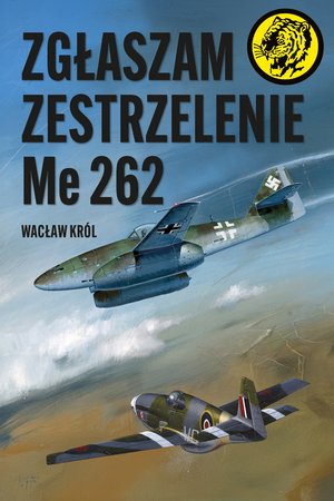 Zgłaszam zestrzelenie Me 262 – ebook