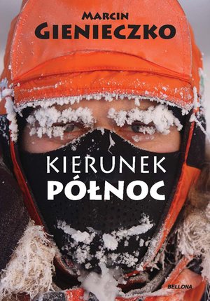 Kierunek Północ – ebook