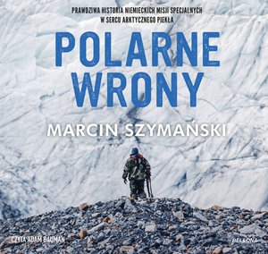 Polarne wrony – audiobook
