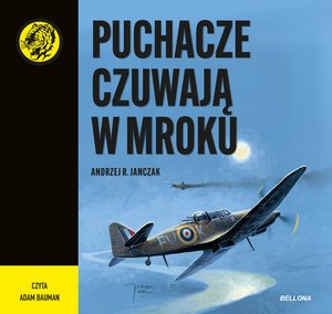 Puchacze czuwają w mroku – audiobook