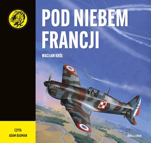 Pod niebem Francji – audiobook