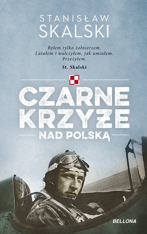 Czarne krzyże nad Polską – ebook