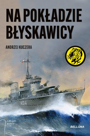 Na pokładzie Błyskawicy – ebook
