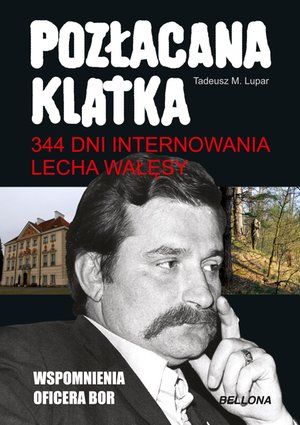 Pozłacana klatka – ebook