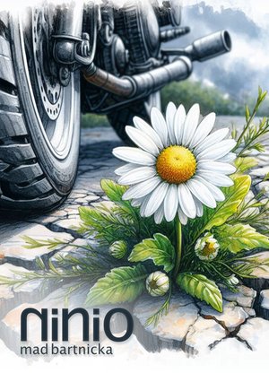 Ninio – ebook
