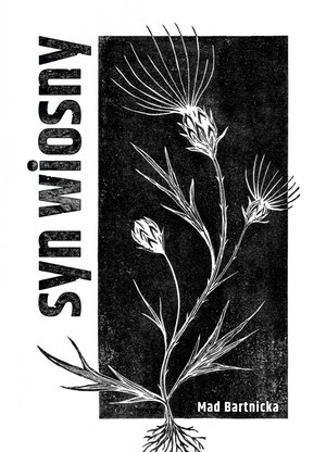 Syn wiosny – ebook