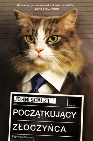 Początkujący złoczyńca – ebook