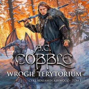 Wrogie terytorium. Cykl Beniamin Ashwood. Tom 3 – audiobook