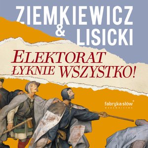 Elektorat łyknie wszystko – audiobook