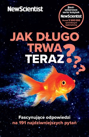 Jak długo trwa teraz? – ebook