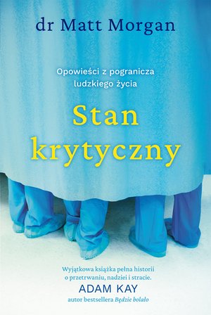 Stan krytyczny – ebook