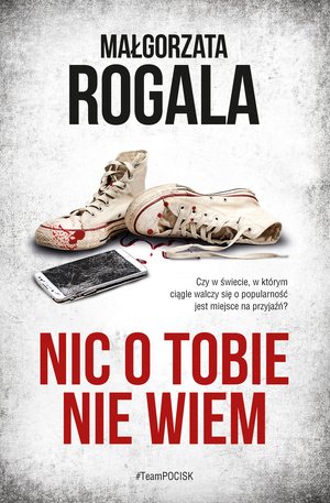 Nic o tobie nie wiem – ebook