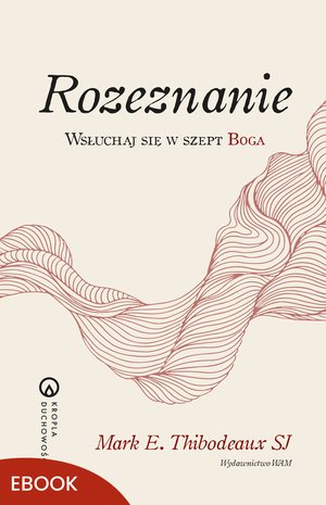 Rozeznanie – ebook