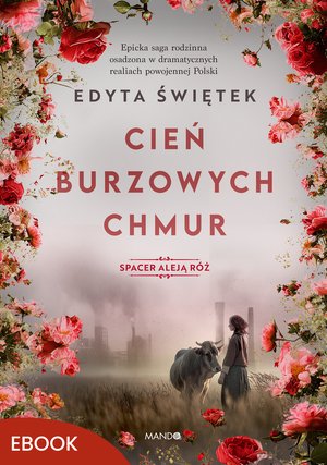 Cień burzowych chmur – ebook