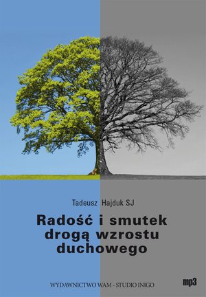 Radość i smutek drogą wzrostu duchowego – audiobook