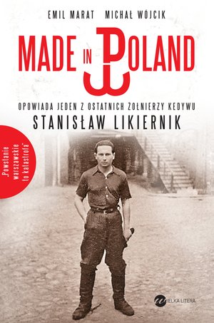 Made in Poland – ebook