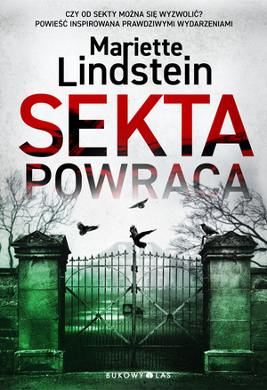 Sekta powraca – ebook
