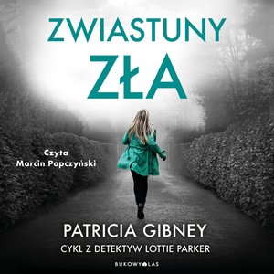 Zwiastuny zła. Cykl z detektyw Lottie Parker – audiobook