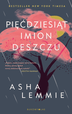 Pięćdziesiąt imion deszczu – ebook