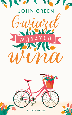 Gwiazd naszych wina – ebook