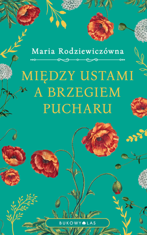 Między ustami a brzegiem pucharu (wersja ekskluzywna) – ebook