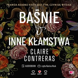 Baśnie i inne kłamstwa – audiobook