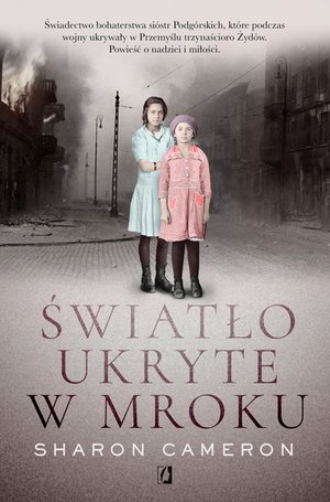 Światło ukryte w mroku – ebook