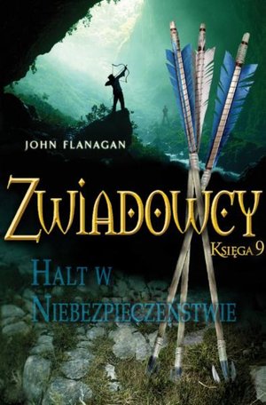 Halt w niebezpieczeństwie – ebook