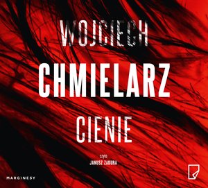 Cienie – audiobook