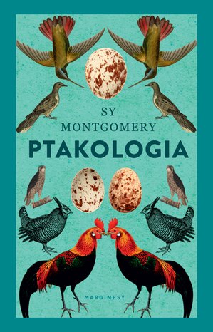 eko: Ptakologia – ebook