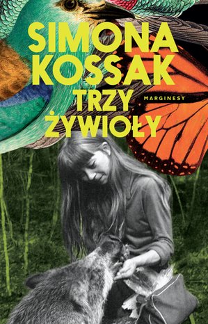 Trzy żywioły – ebook