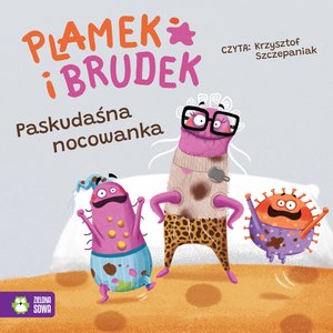 Plamek i Brudek Tom 4: Plamek i Brudek. Paskudaśna nocowanka – audiobook