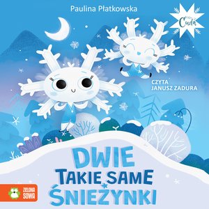 Mikrocuda Tom 1: Dwie takie same śnieżynki – audiobook