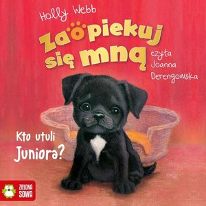 Zaopiekuj się mną Zaopiekuj się mną. Kto utuli Juniora? – audiobook