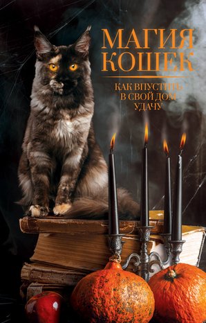 Магия кошек – ebook