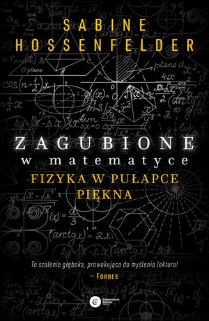 Zagubione w matematyce – ebook