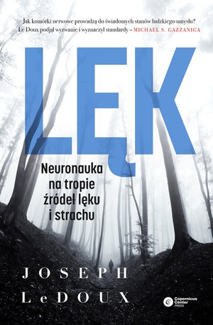 Lęk – ebook