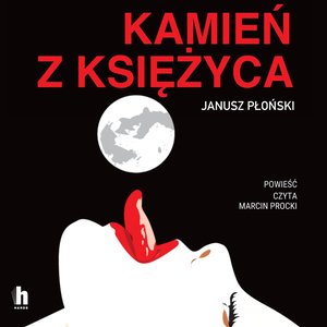 Kamień z Księżyca – audiobook