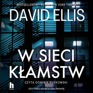W sieci kłamstw – audiobook